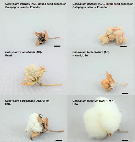 Species overview .